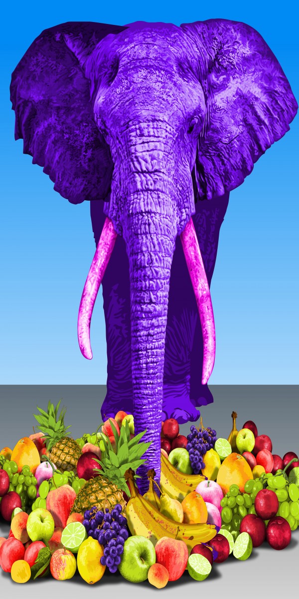 animal series-elephant, mixed media, 60x120cm, 2014