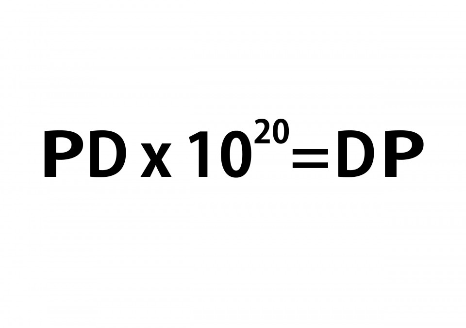 박상덕_PDx10_20=DP