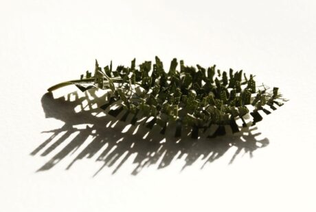 아트포럼리 송수영